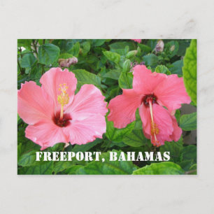 Freeport, Bahamas Postcard
