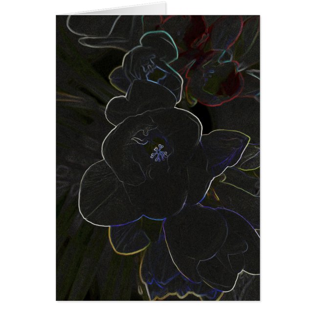 freesia flowers outlined (Front)