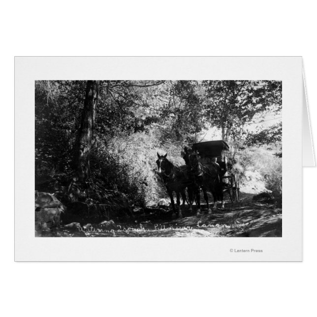 Freight Horses Taking a Break (Front Horizontal)