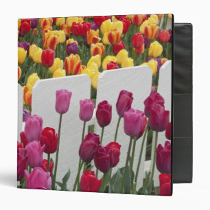 Fremont Solstice Parade Binder