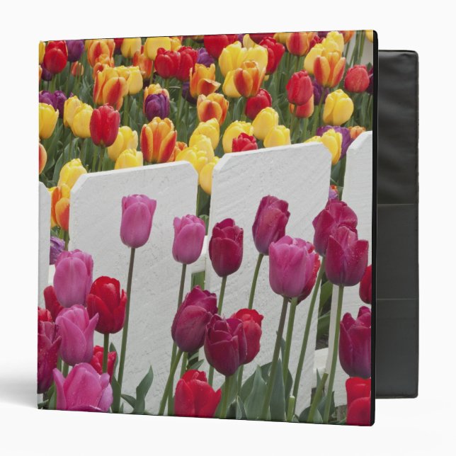 Fremont Solstice Parade Binder (Front/Inside)