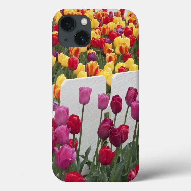 Fremont Solstice Parade Case-Mate iPhone Case (Back)