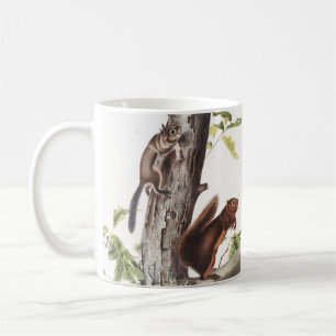Fremont's Squirrel and Sooty Squirrel Illustration Coffee Mug