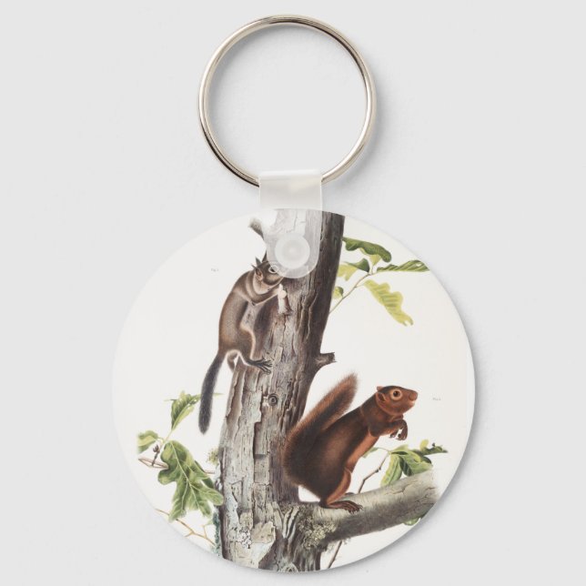 Fremont's Squirrel and Sooty Squirrel Illustration Keychain (Front)