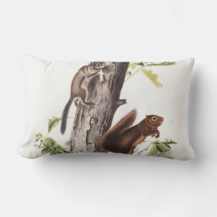 Fremont's Squirrel and Sooty Squirrel Illustration Lumbar Pillow