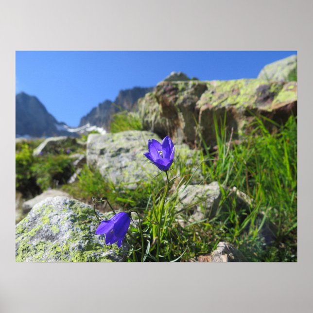French Alps Poster (Front)