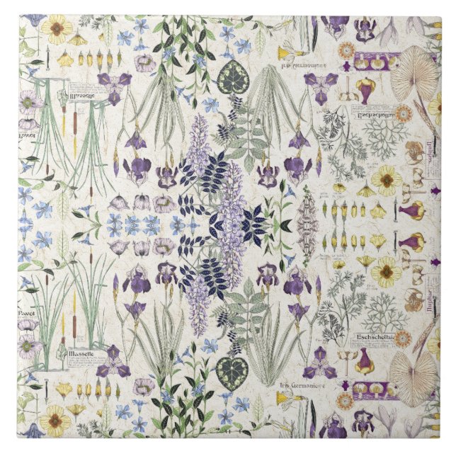 French Art Nouveau Botanical Flowers Ceramic Tile (Front)