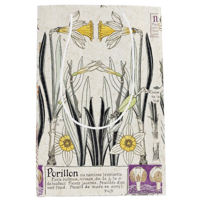 French Art Nouveau Flowers Collage Gift Bag (Front)