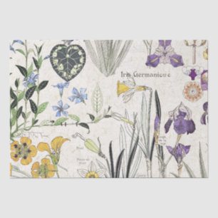 French Art Nouveau Iris Flowers Tissue Paper