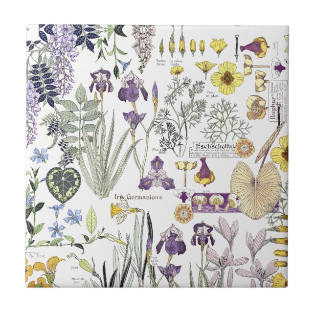 French Art Nouveau Vintage Flower Ceramic Tile (Front)