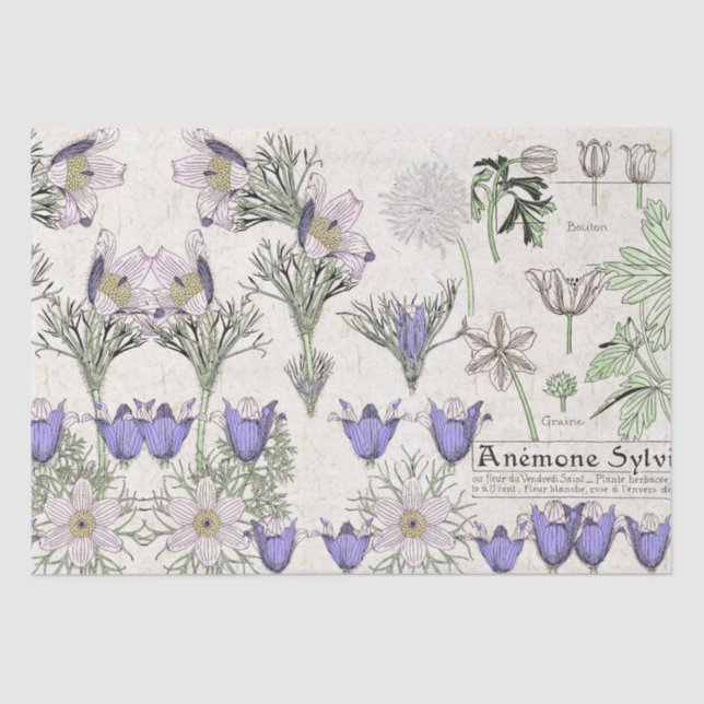 French Art Nouveau Windflower Flowers Tissue Paper (Front)
