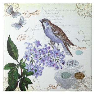 French Bird Floral Collage Vintage Look Tile