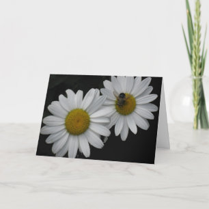 French Birthday Card, Daisies and Bee Card