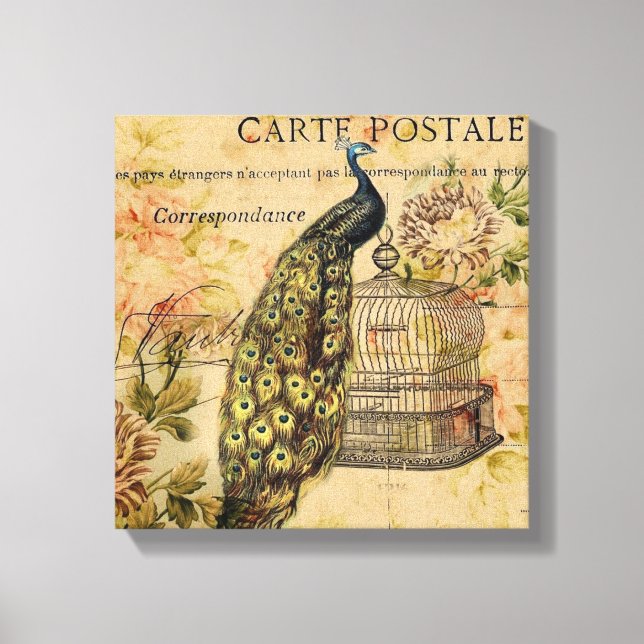 french botanical art nouveau vintage peacock canvas print (Front)