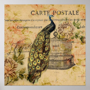 french botanical art nouveau vintage peacock poster