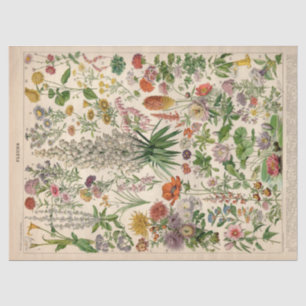 French Botanical Fleurs Tissue Paper