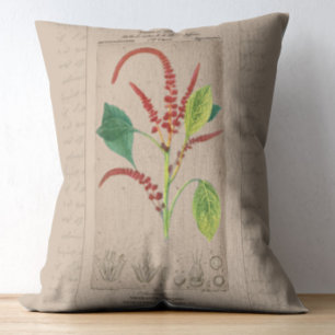 French Botanical Illustration Amaranthus Accent Pillow