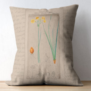 French Botanical Illustration Daffodil Accent Pillow