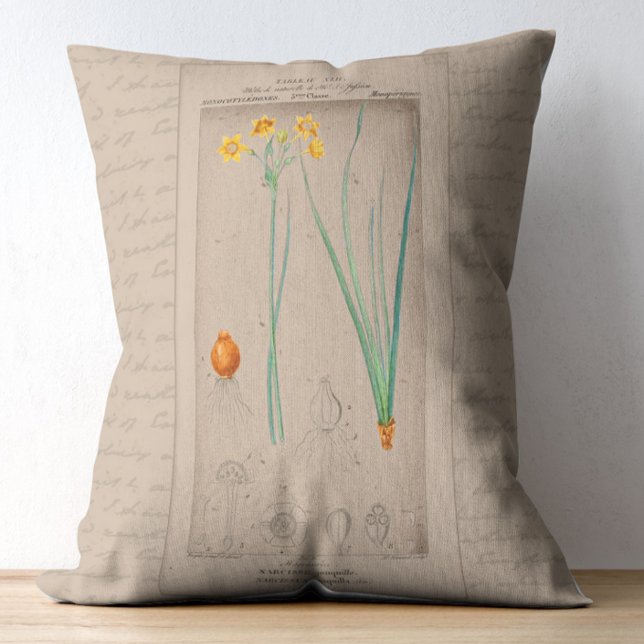 French Botanical Illustration Daffodil Accent Pillow (Creator Uploaded)