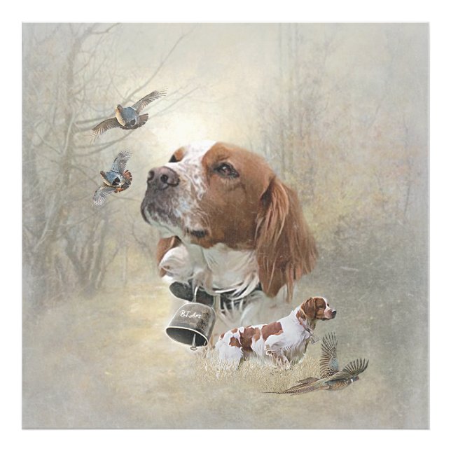 French Brittany, Bird Hunting Art  Photo Print (Front)