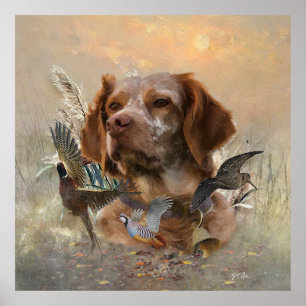 French Brittany, Bird Hunting Art Poster