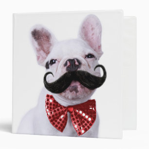 French Bull Dog Puppy With Moustache Binder