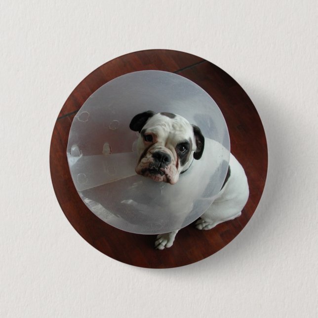 French Bulldog 2 Inch Round Button (Front)