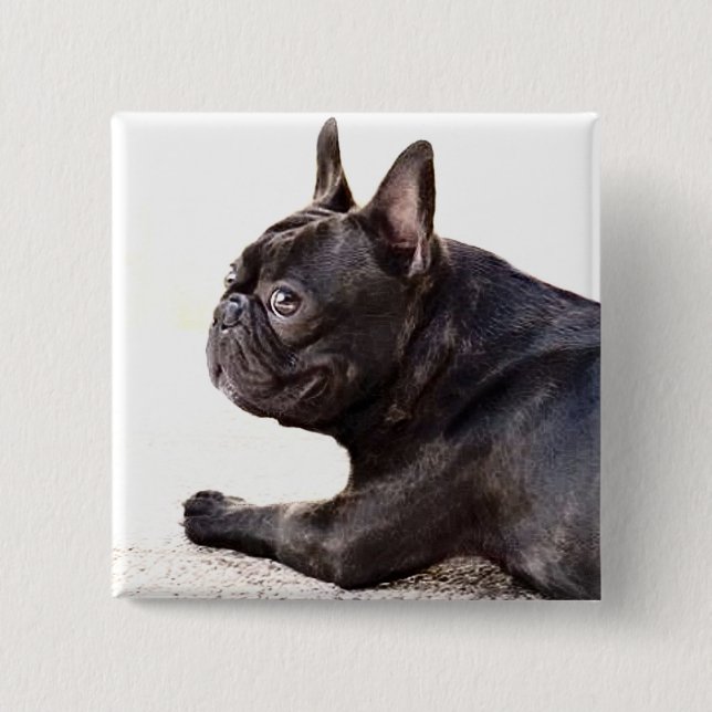 French Bulldog 2 Inch Square Button (Front)