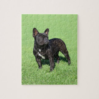 French Bulldog 2 Jigsaw Puzzle