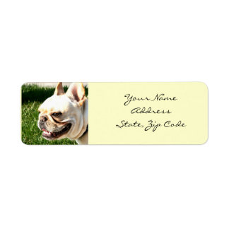 French Bulldog Address Labels