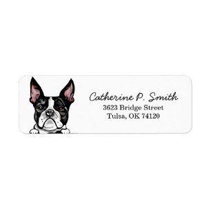 French Bulldog Adresse de retour