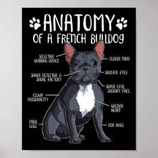 French Bulldog Anatomy Frenchie Dog Lover Owner 2 Poster