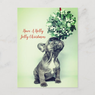 French Bulldog And Mistletoe FstChristmas Holiday Postcard
