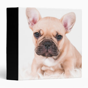 French Bulldog Binder