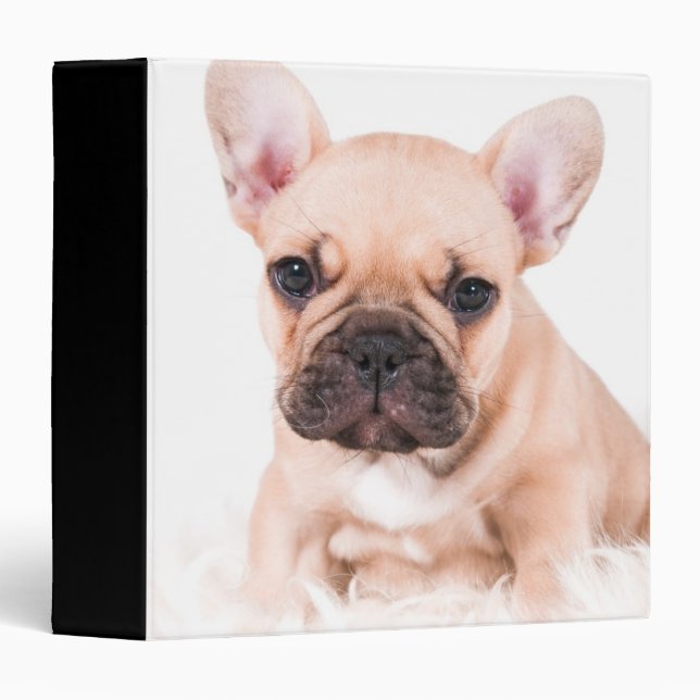 French Bulldog Binder (Front/Spine)