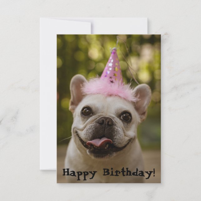 French Bulldog Birthday Card (Front)