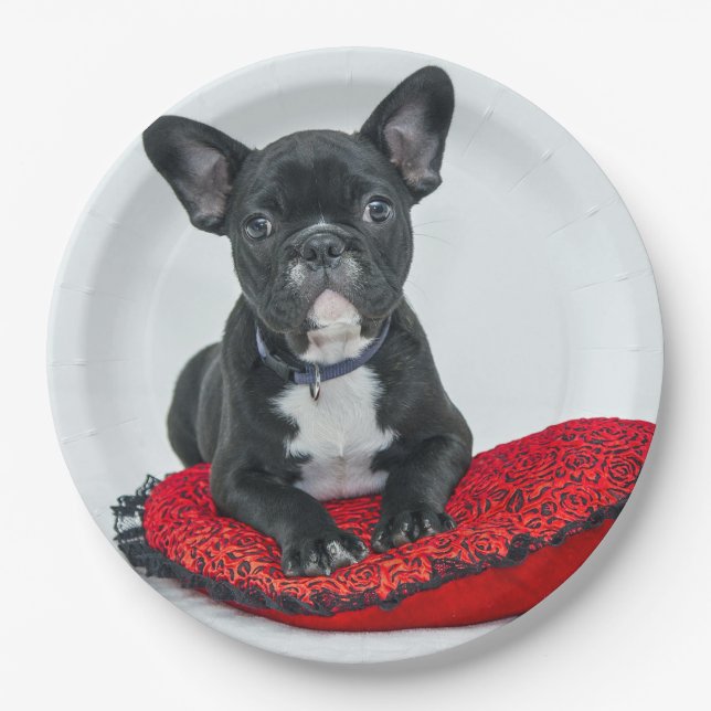 French Bulldog Black Pillow Photo Paper Plate (Front)