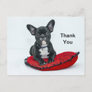 French Bulldog Black Pillow Photo Thank You Postcard