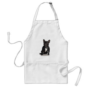 French Bulldog Breed Puppy Standard Apron