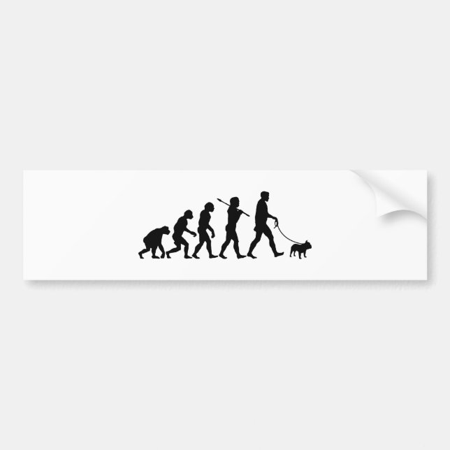 French Bulldog Bumper Sticker (Front)