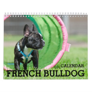 French Bulldog Calendar 2025