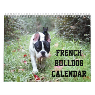 French Bulldog Calendar With Your Photos