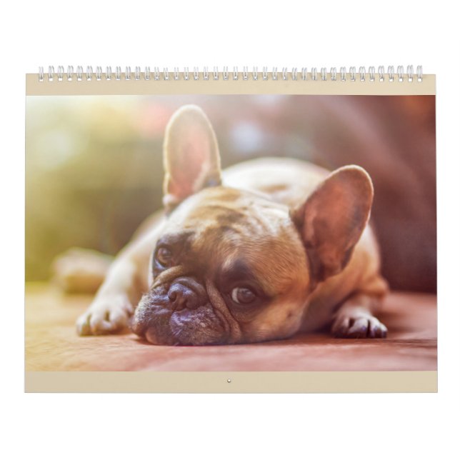 French Bulldog Calender Calendar (Cover)
