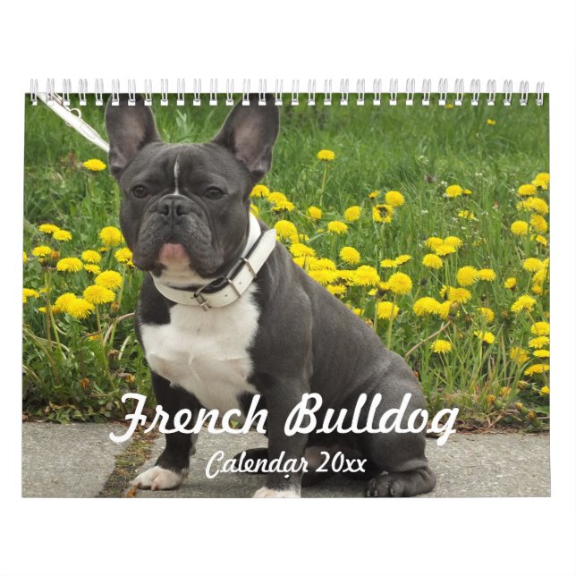 French Bulldog Calendrier 2024 Ajouter Vos Photos (Protection)
