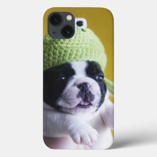 French Bulldog iPhone 13 Case