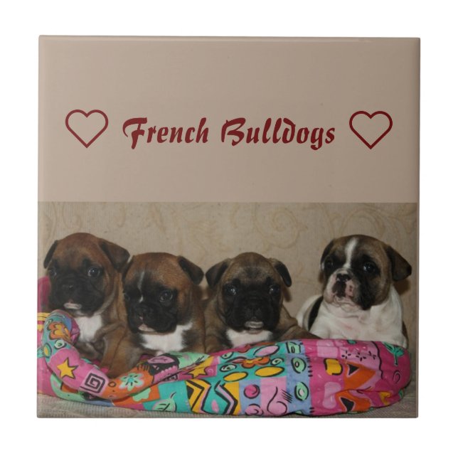 French Bulldog Ceramic Tile (Front)
