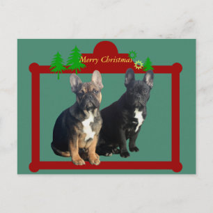 French Bulldog Christmas card