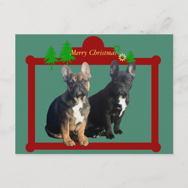 French Bulldog Christmas card (Front)