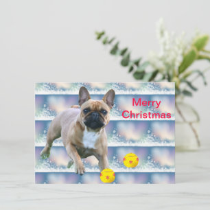 French Bulldog Christmas card