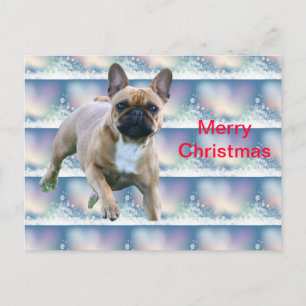 French Bulldog Christmas card
